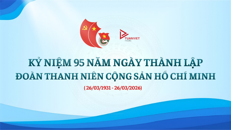 backdrop ngày thành lập đoàn tncs