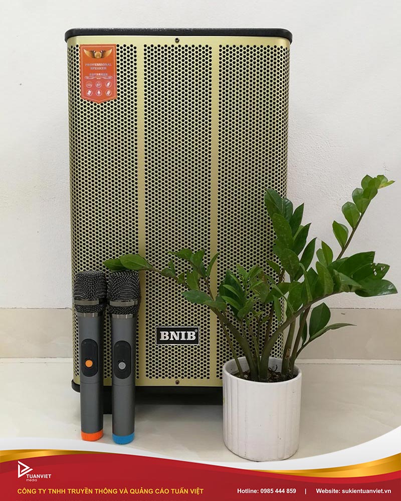 cho thuê loa kéo giá rẻ