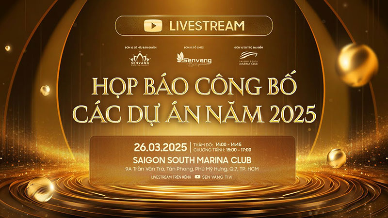 Background họp báo